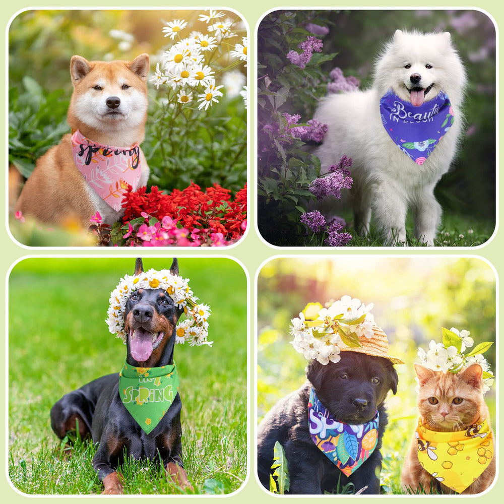 Bandanas para peluquería canina, uso en salones y ceremonias.