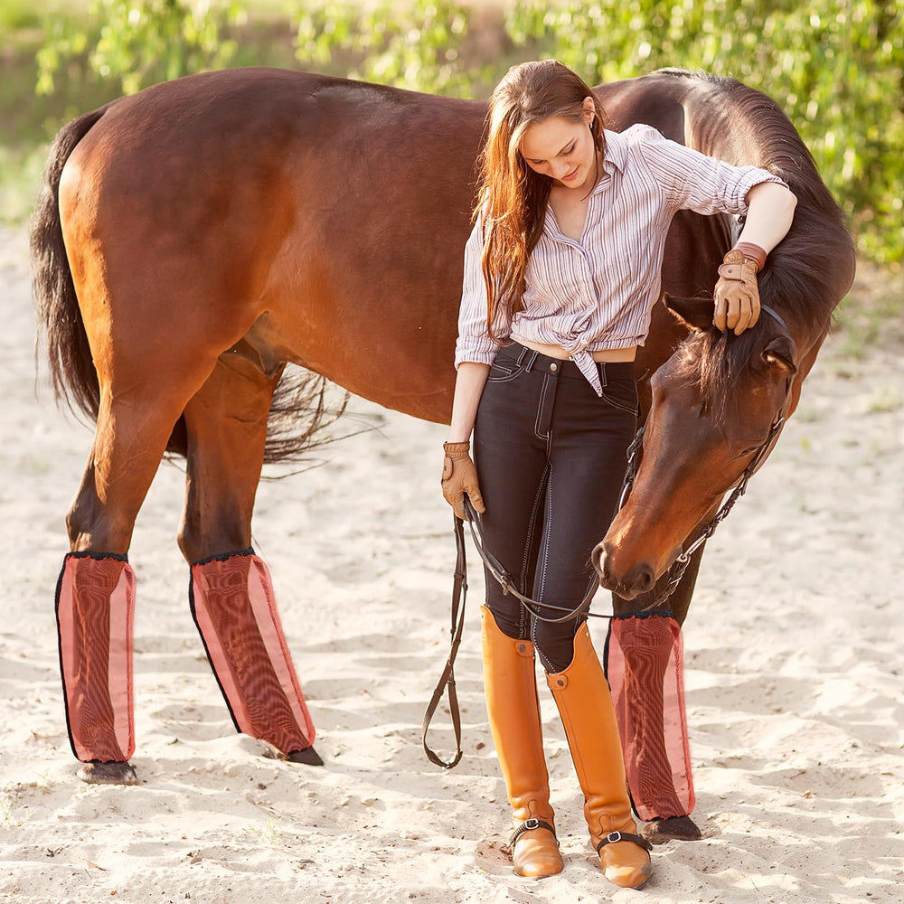 Limpieza rápida de protecciones Bulyoou para caballos con agua