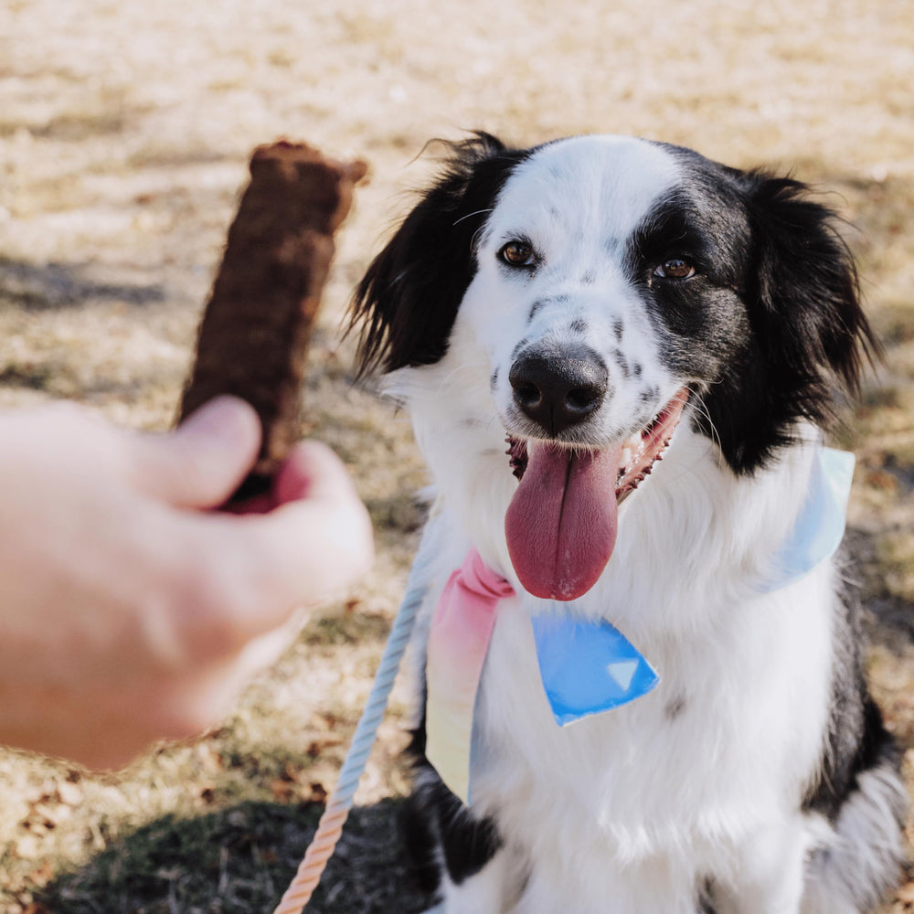 Bundle x Joy jerky de res elaborado en Estados Unidos para cuidado de perros