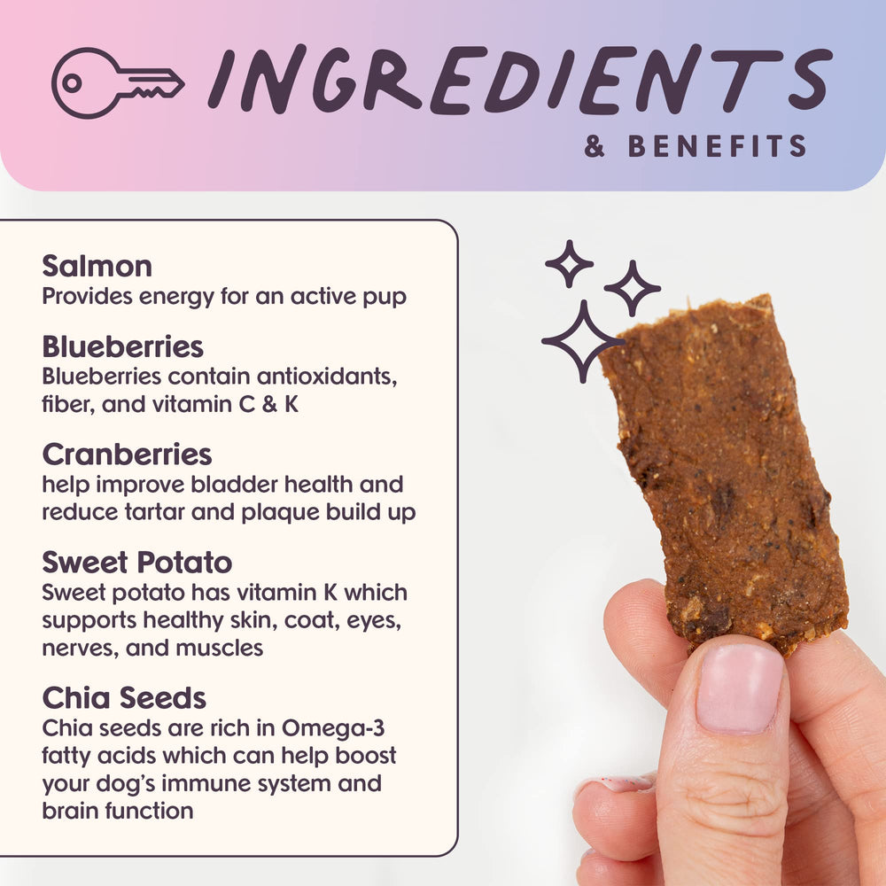 Snack de salmón sin granos, opción natural para canes sensibles