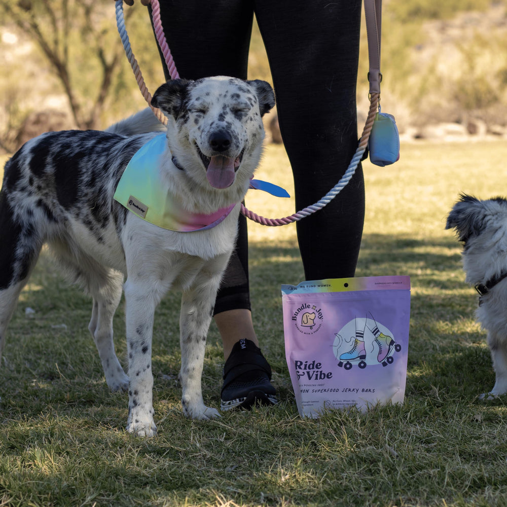 Snack de salmón sin maíz para perros de todas las tallas