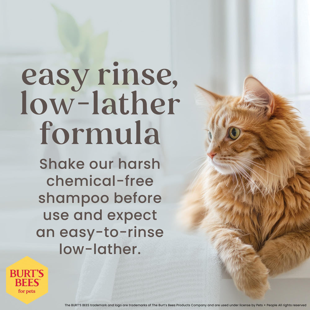 Cuidado de piel sensible con BURT'S BEES FOR PETS, pelaje cómodo tras el baño