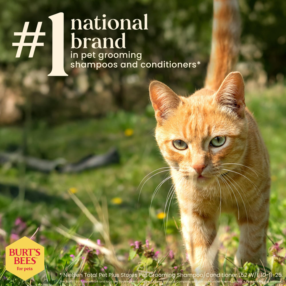 BURT'S BEES FOR PETS: uso práctico entre lavados en casa o viaje