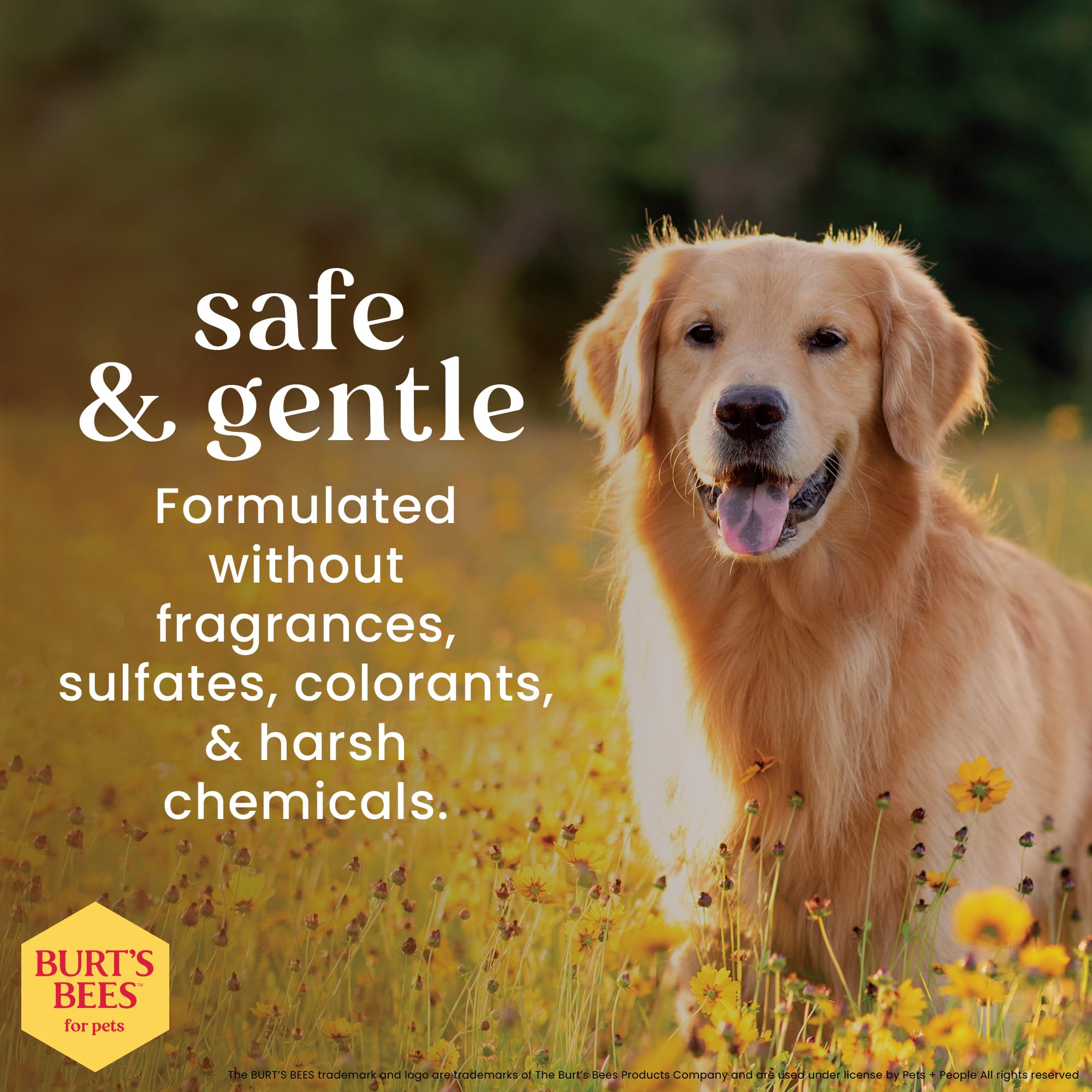 BURT'S BEES FOR PETS - limpieza de manchas de lágrimas alrededor de ojos de perros, aspecto más limpio.