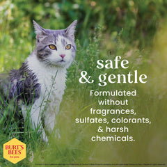 BURT'S BEES FOR PETS Waterless Cat Shampoo Spray, ingredientes naturales cuidan piel y pelaje.
