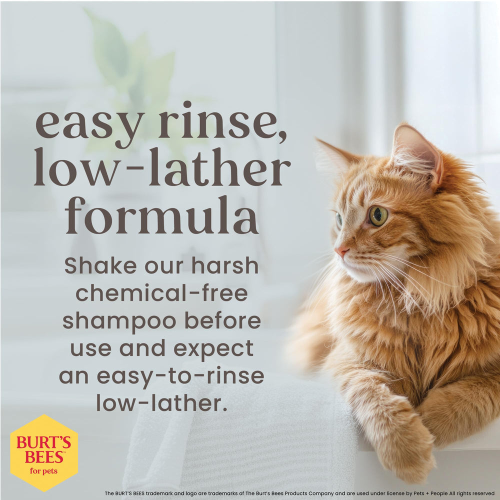 BURT'S BEES FOR PETS champú gatos interiores se enjuaga con facilidad, reduciendo el estrés del baño.