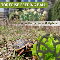 BUYBYLOV bola-alimento-tortuga: bolita para introducir vegetales y fomentar la actividad física.