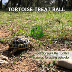 BUYBYLOV juego-interactivo-tortuga: anima a la tortuga a perseguir la bola y buscar comida.