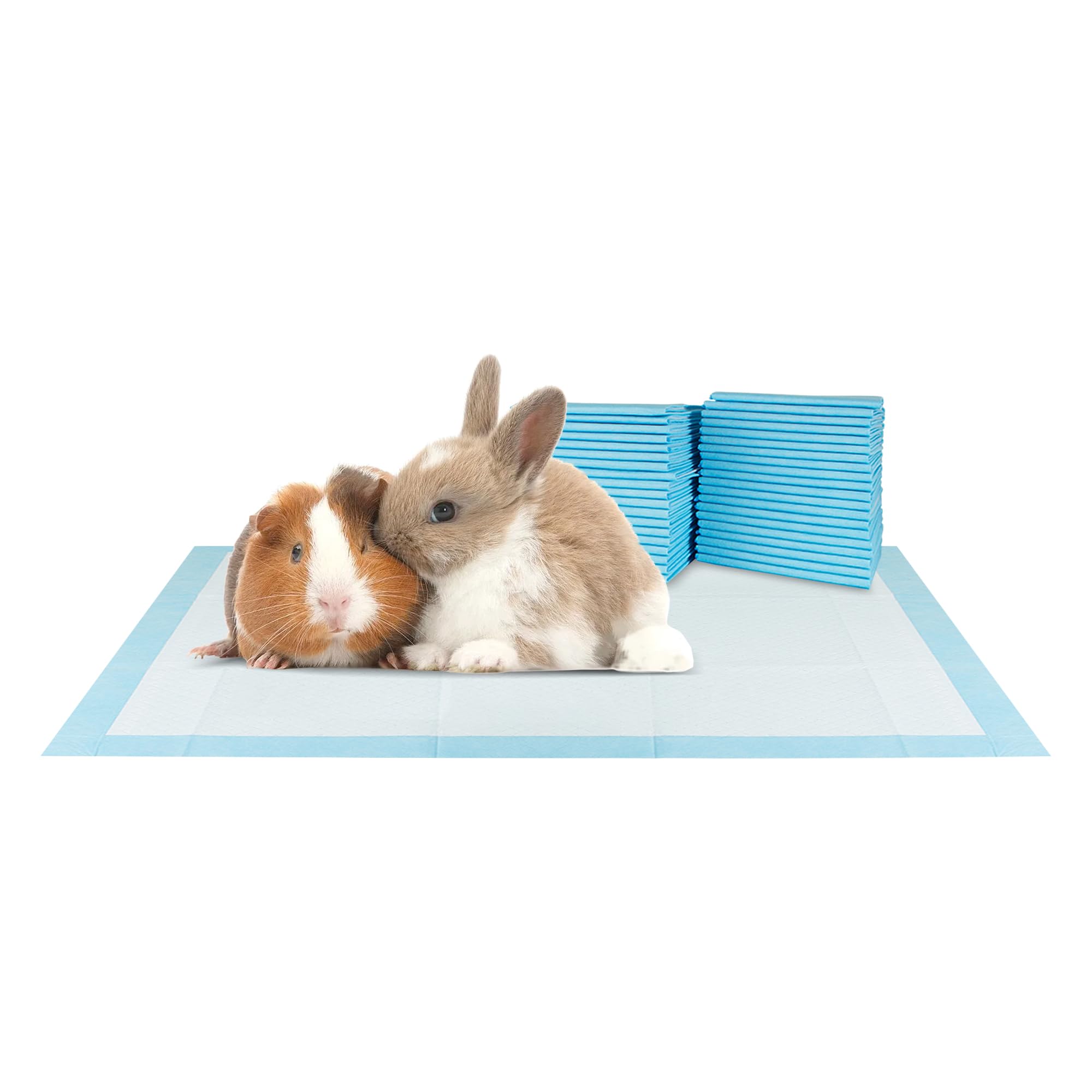 Absorbentes BV que fijan la humedad para sesiones de aprendizaje.