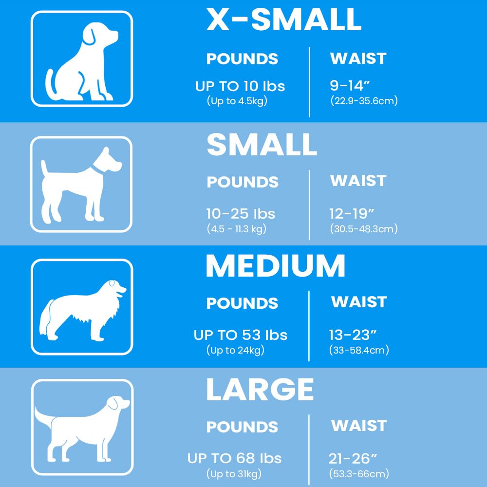 BV Dog Diapers con núcleo de gel absorbente para mayor protección.
