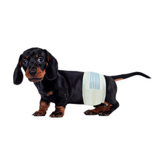 BV Dog Diapers para perro macho pequeño con 50 unidades y ajuste cómodo.