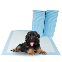 BV almohadillas para cachorros frente del paquete, listas para entrenamiento y protección del hogar.