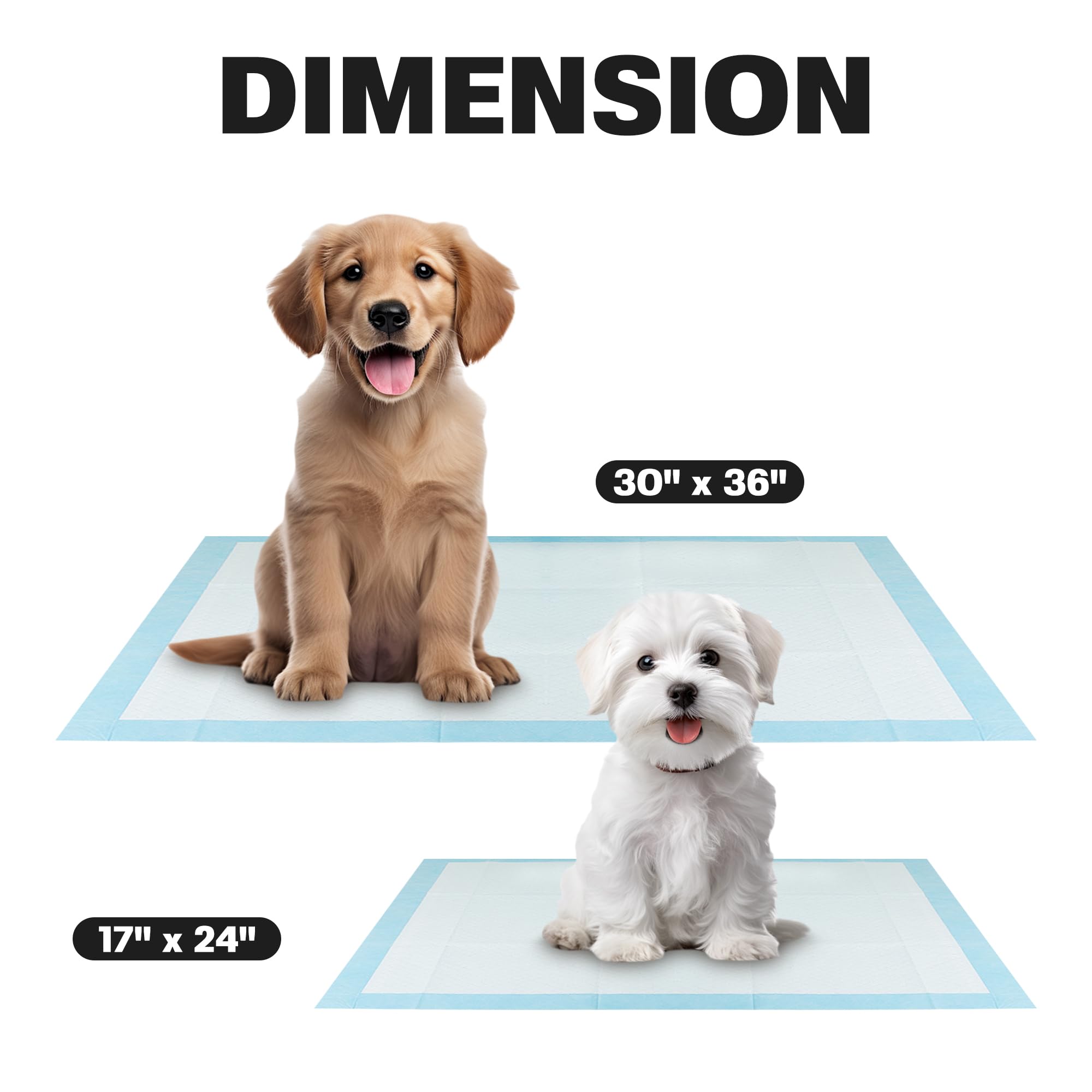 Tapetes BV ideales para cachorros y perros mayores en uso diario.