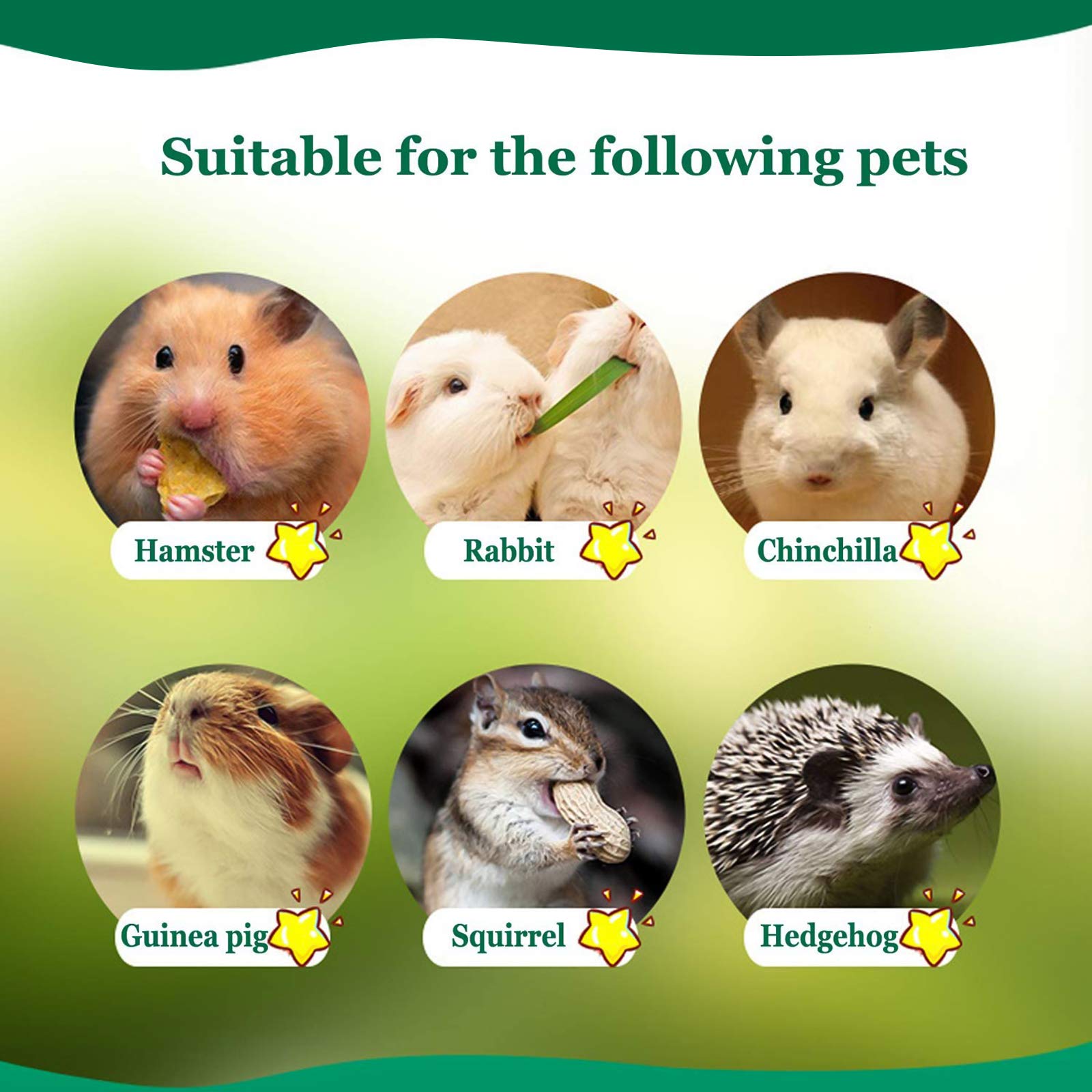 BWOGUE Entretenimiento masticable de bambú para mascotas pequeñas, ideal para juegos en jaula.