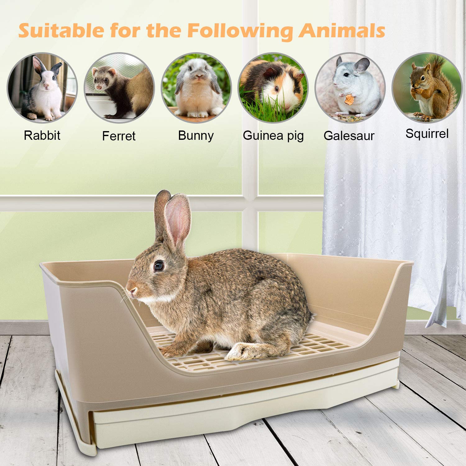 BWOGUE base reforzada para animales adultos, estabilidad durante el uso.