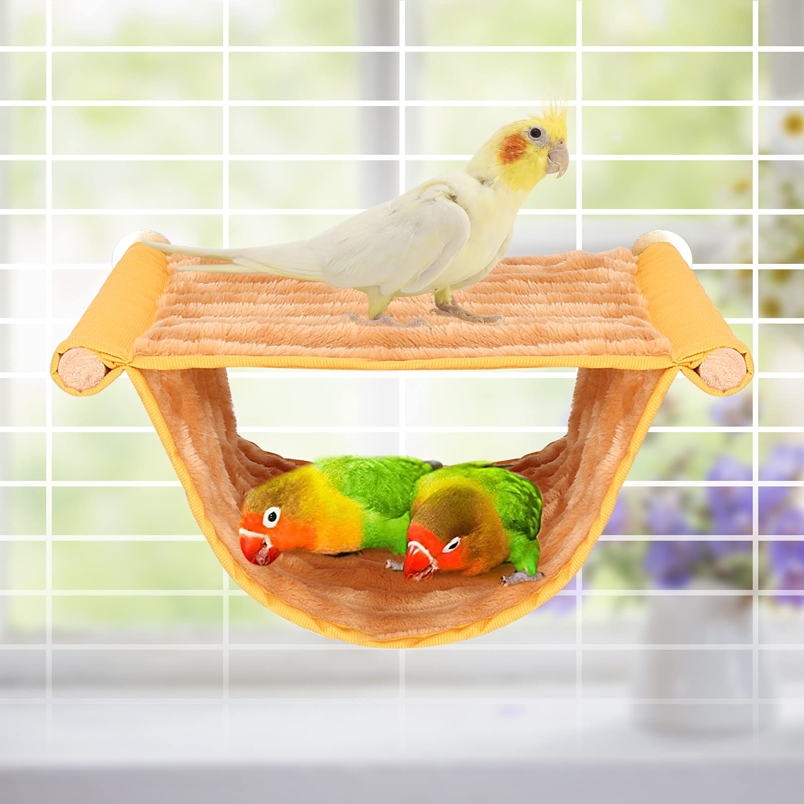 BWOGUE regalo ideal para aves domésticas y mascotas