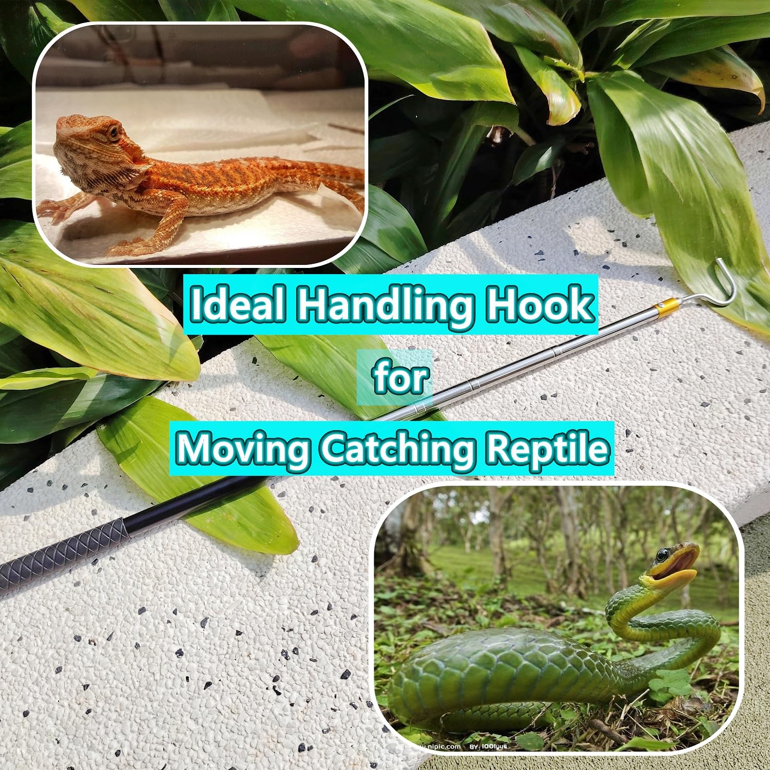 Bytcew herramienta ligera para entusiastas de reptiles en exterior.
