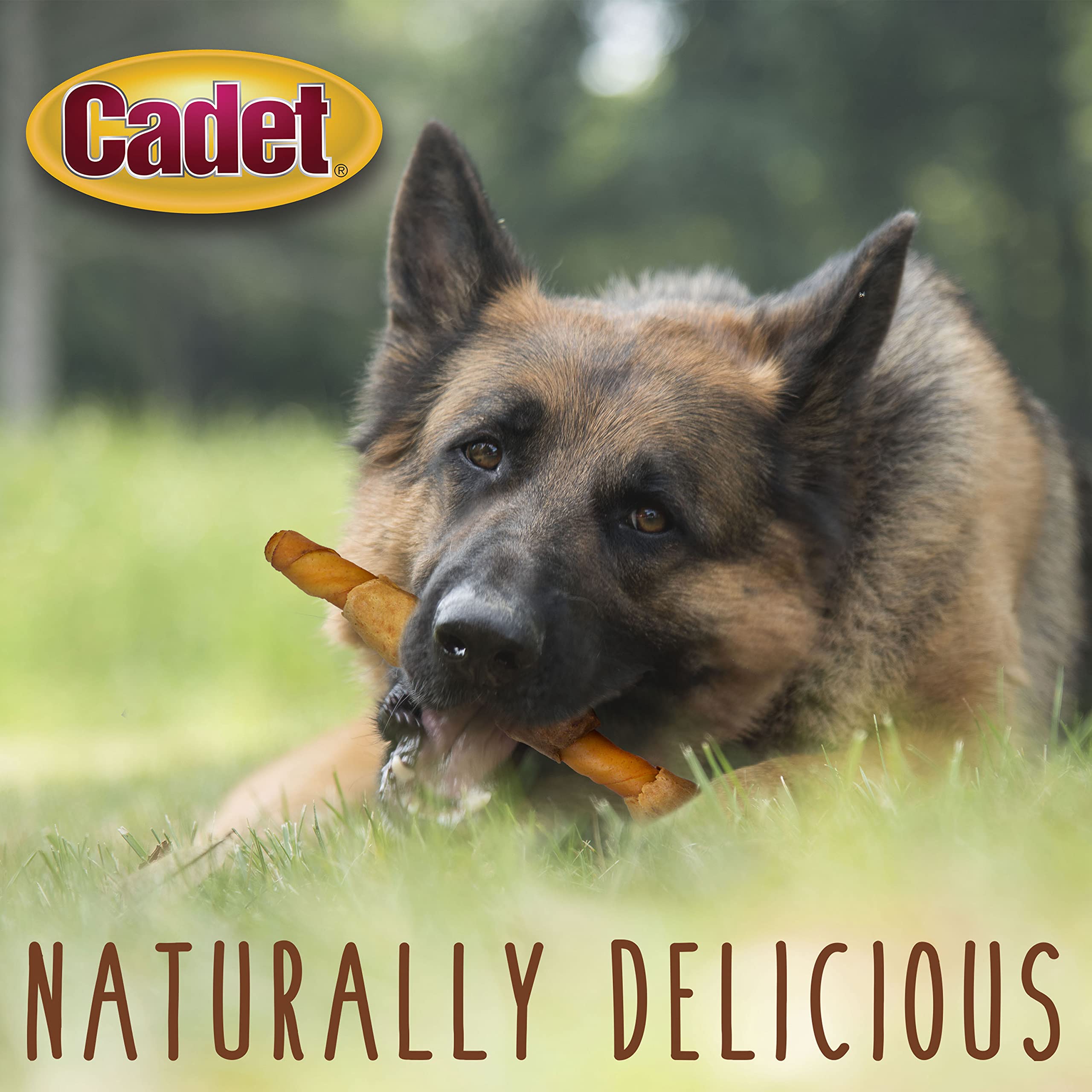 Cadet brochette porc-patate-douce: mastication prolongée pour chiens actifs