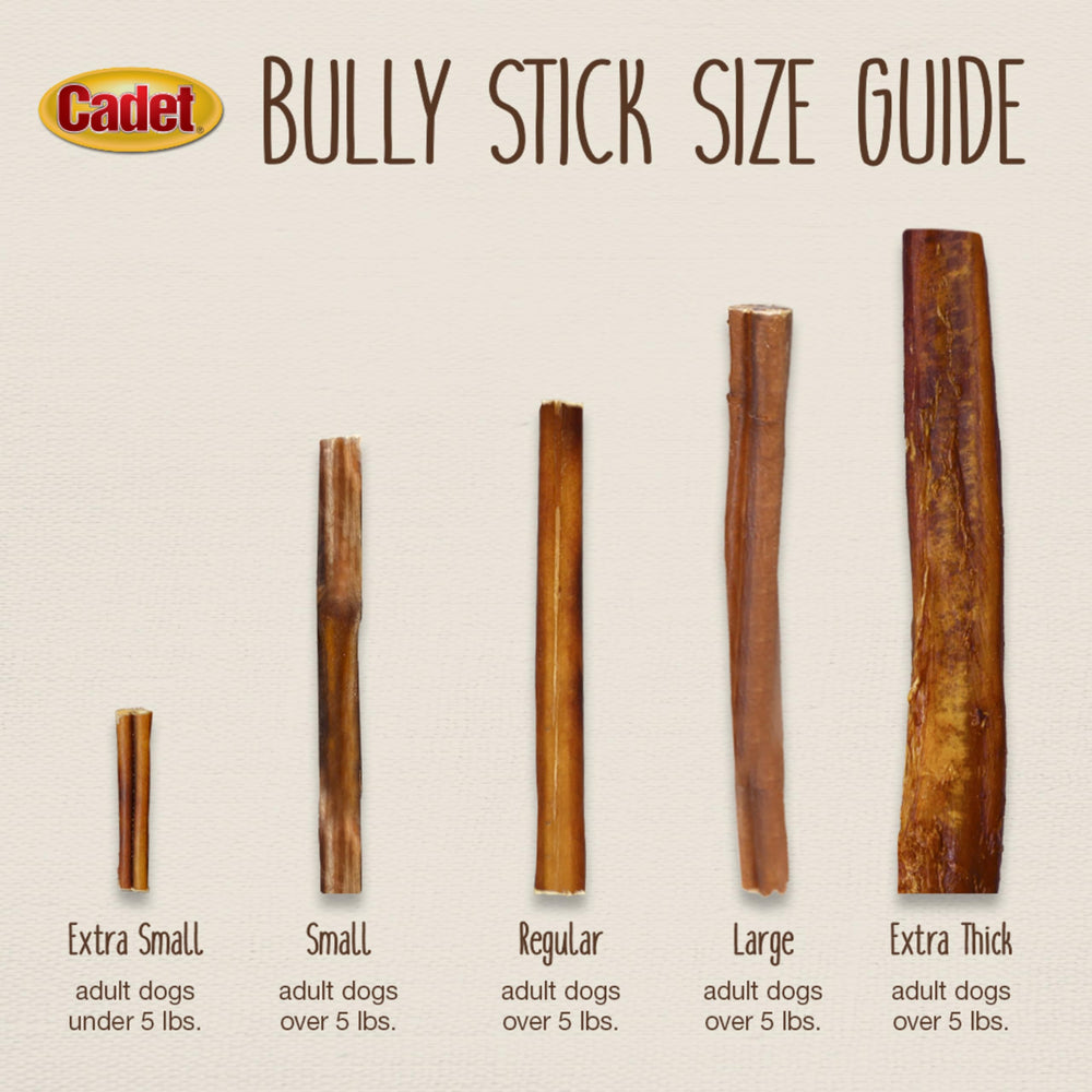Cadet Bully Sticks ayudan a la limpieza dental durante la masticación