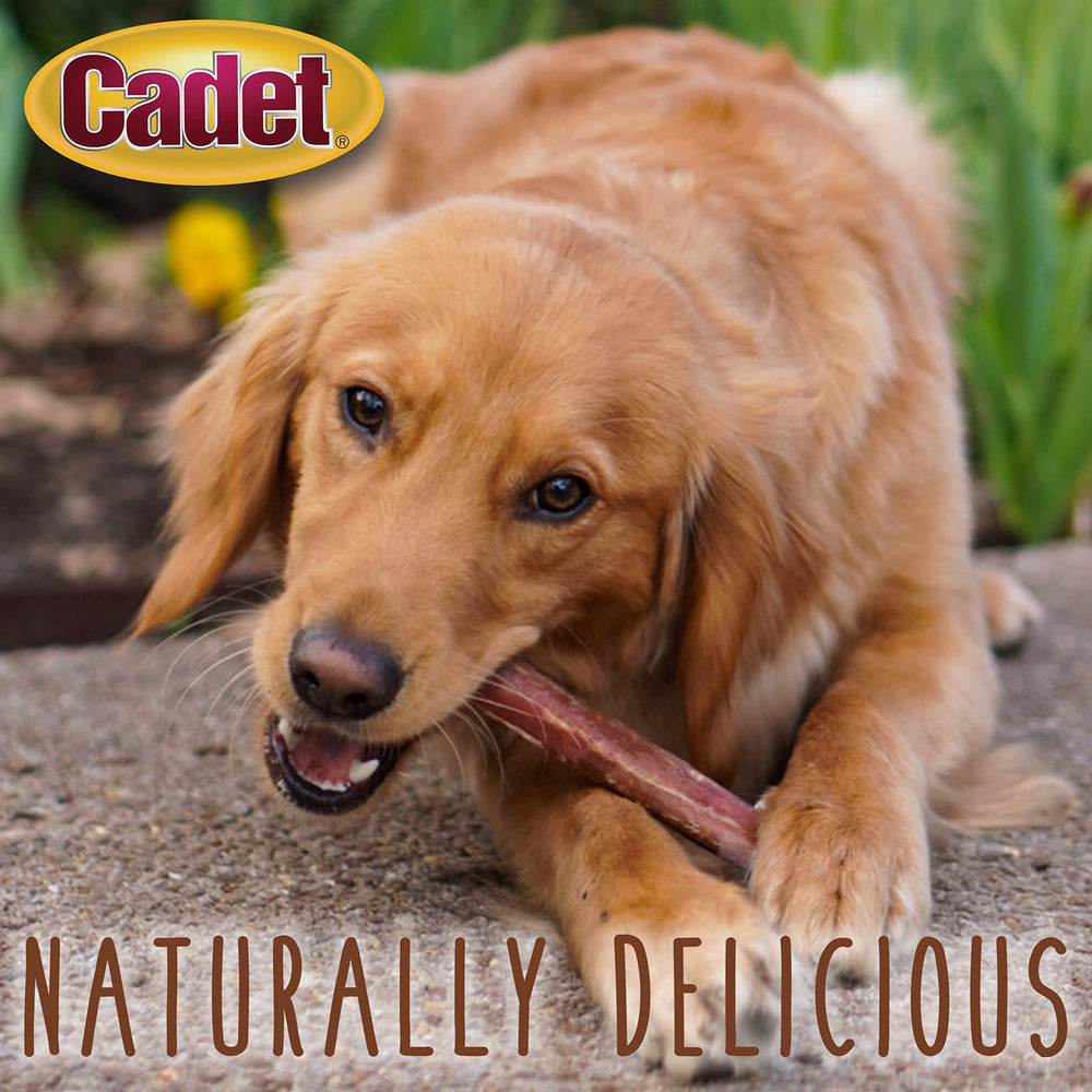 Cadet Bully Sticks, 50 uds para perros pequeños, pack de valor.