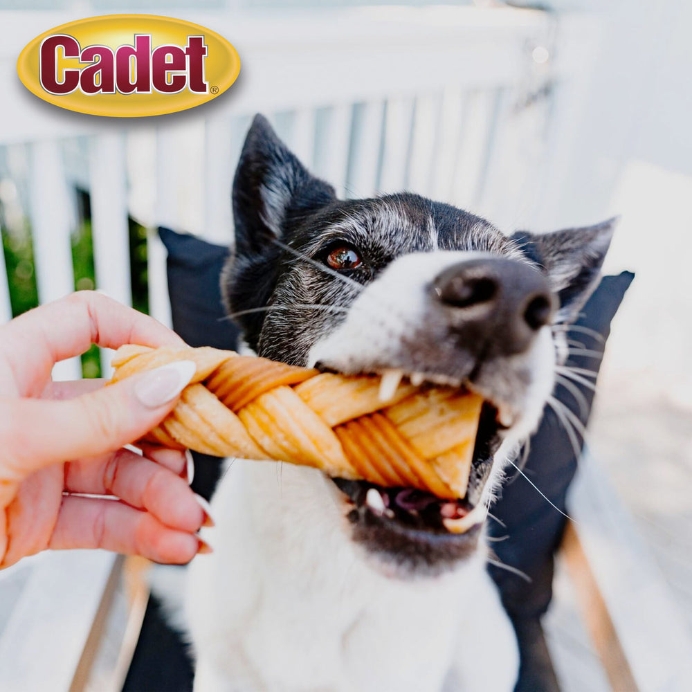 Cadet Chewalicious forma trenzada: textura atractiva para perros curiosos.