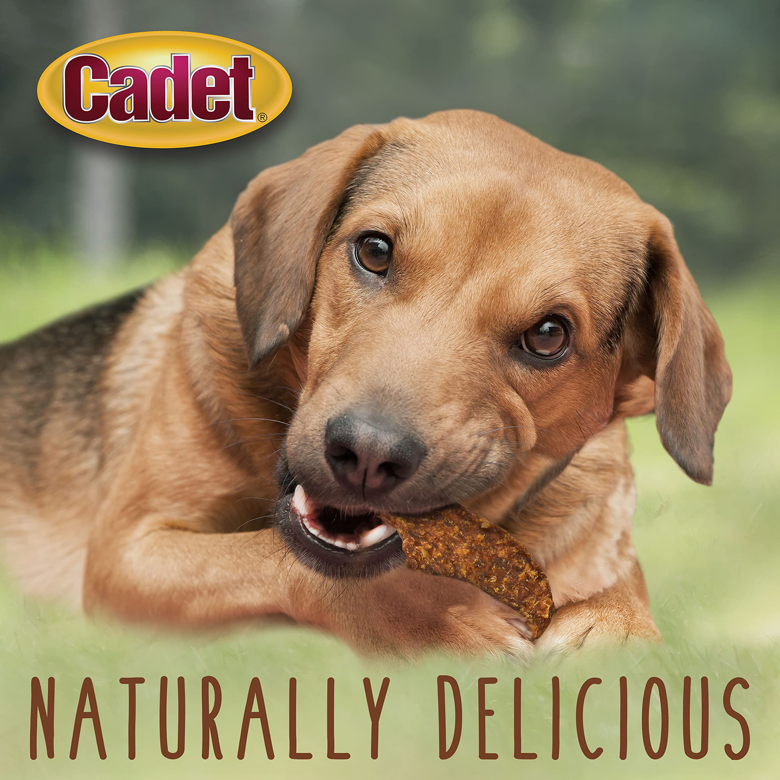 Cadet Jerky para entrenamiento, recompensa al practicar
