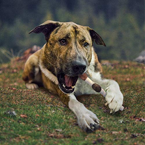Cadet Gourmet sabores deliciosos pollo hígado camote envueltos en piel de res