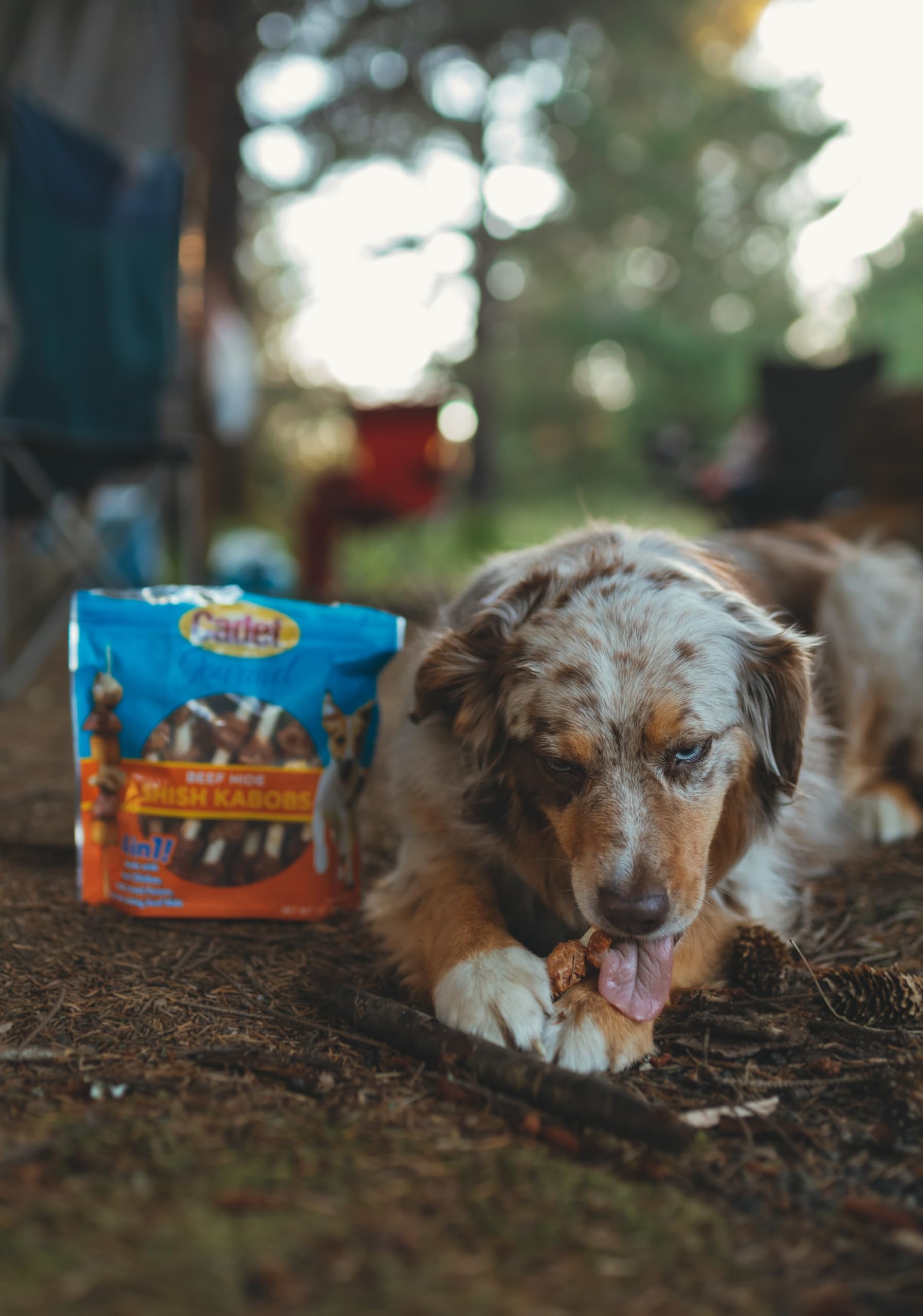 Cadet Gourmet tamaño 5 pulgadas, adecuado para perros pequeños.