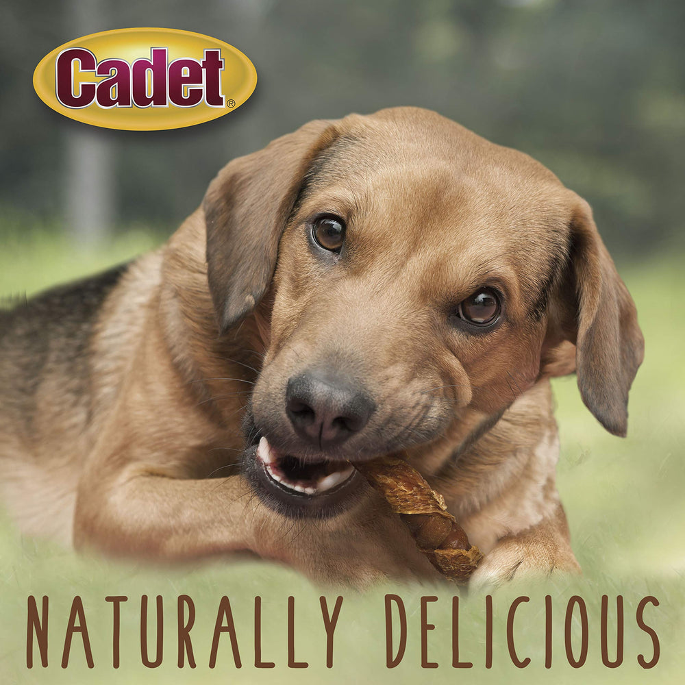 Cadet Gourmet Triple Chews favorece la salud dental durante la masticación.
