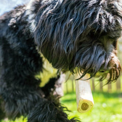 Cadet hueso duradero para perros grandes, ayuda a la limpieza dental.