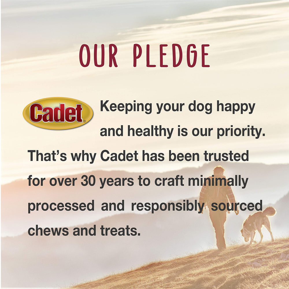 Cadet Junior: inspección y pruebas en EE. UU. para asegurar calidad.