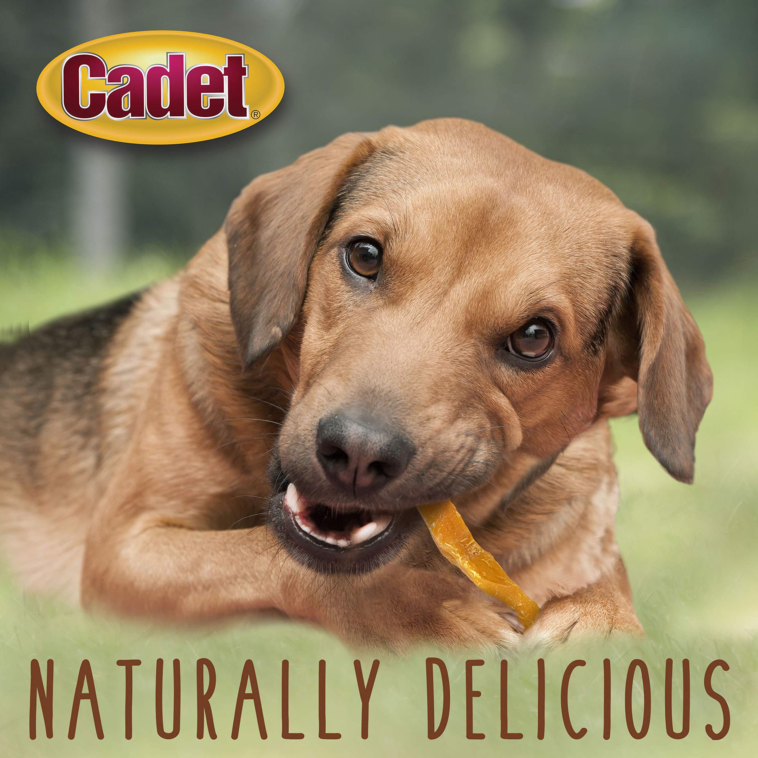 Cadet snack bajo en grasa para perros activos y felices.