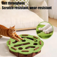 Caja de rascar y rompecabezas para gatos, entretenimiento mental para felinos curiosos.