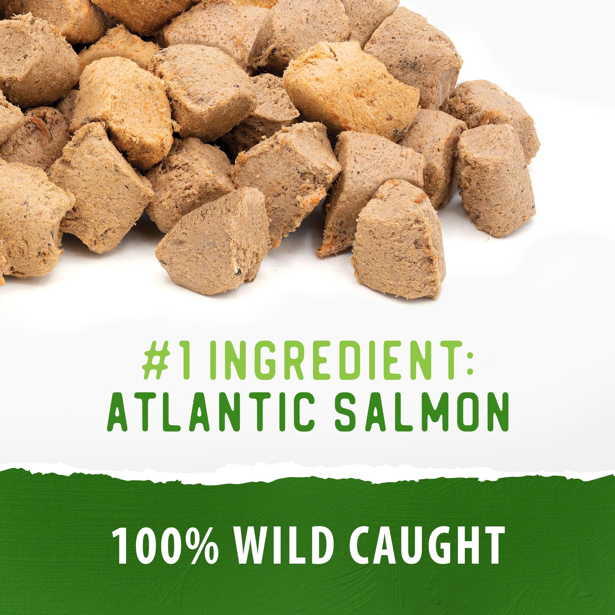 Caledon Farms Freeze-Dried Salmon Bites en boca de perro, premio sabroso.