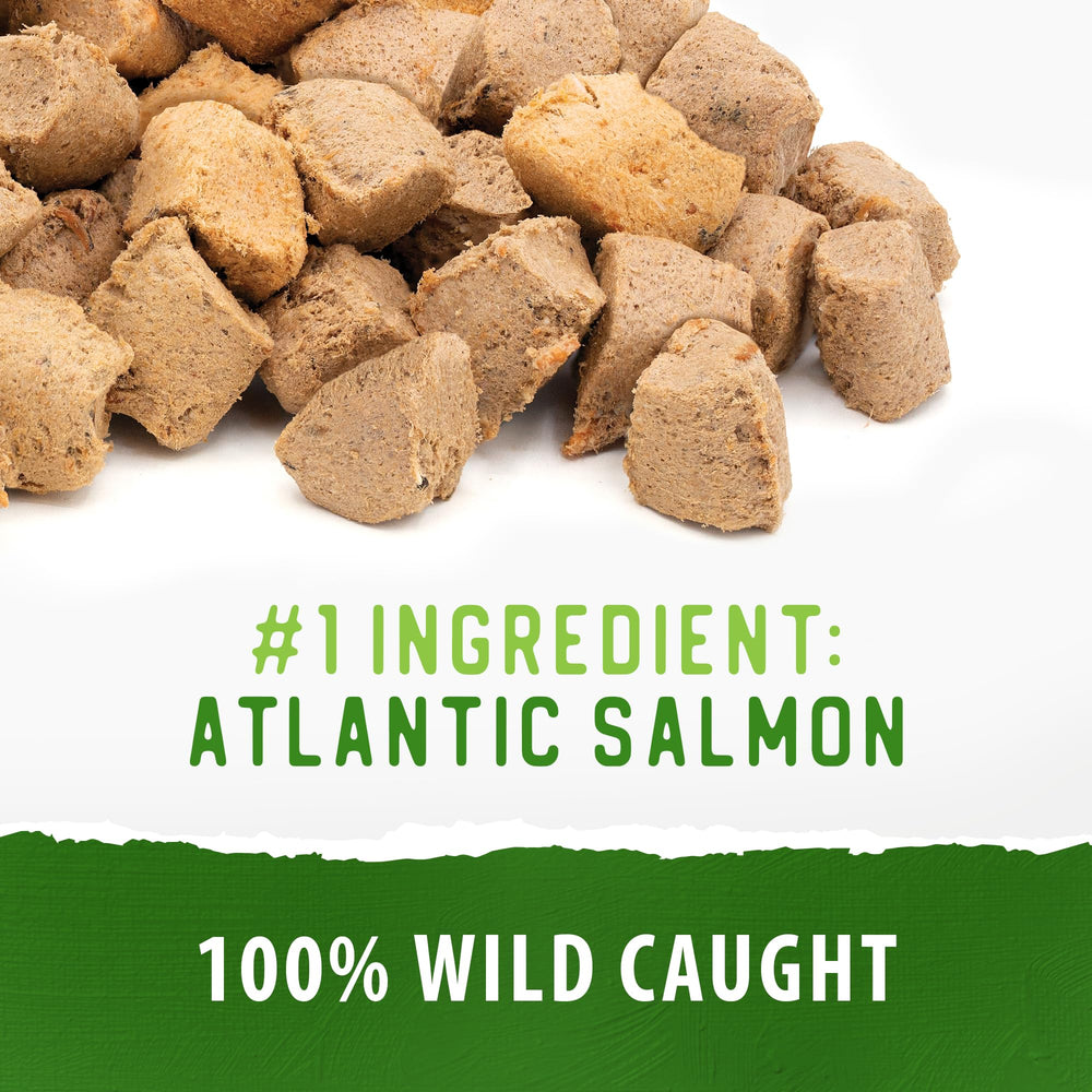 Caledon Farms Freeze-Dried Salmon Bites en boca de perro, premio sabroso.