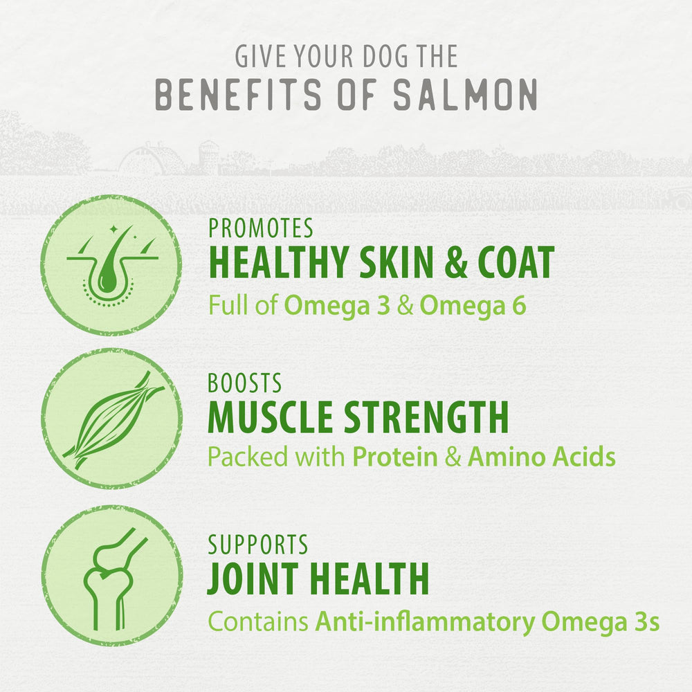 Caledon Farms Salmon Bites pelaje brillante tras uso regular.