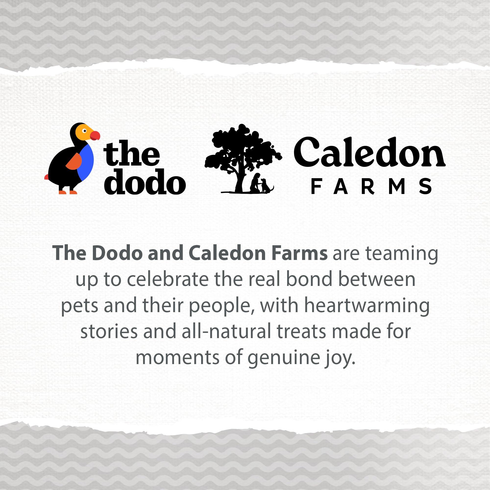 Caledon Farms The Dodo Crunchy Biscuits elaboradas por una empresa familiar.