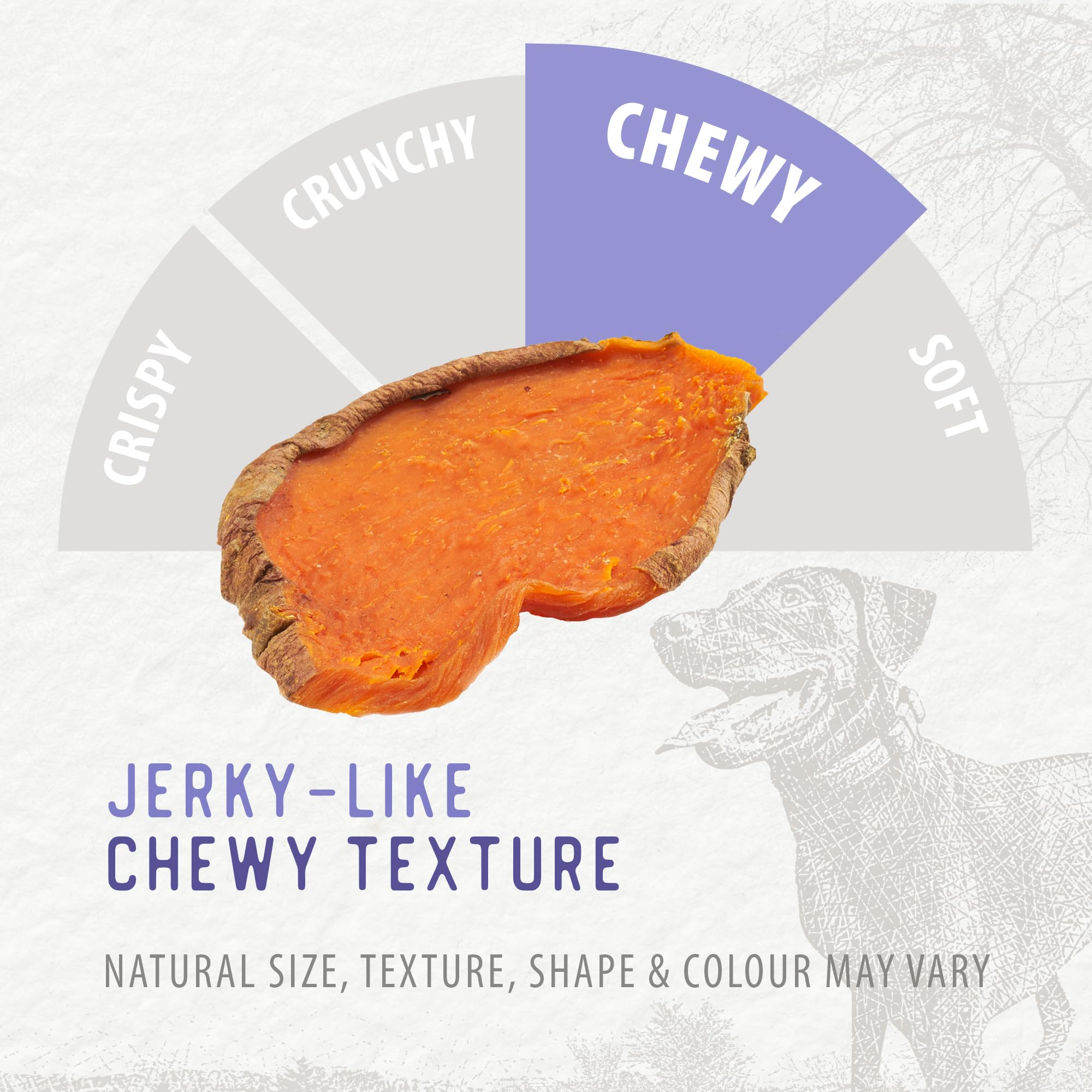 Texture de mastication naturelle Caledon Farms pour chien actif.