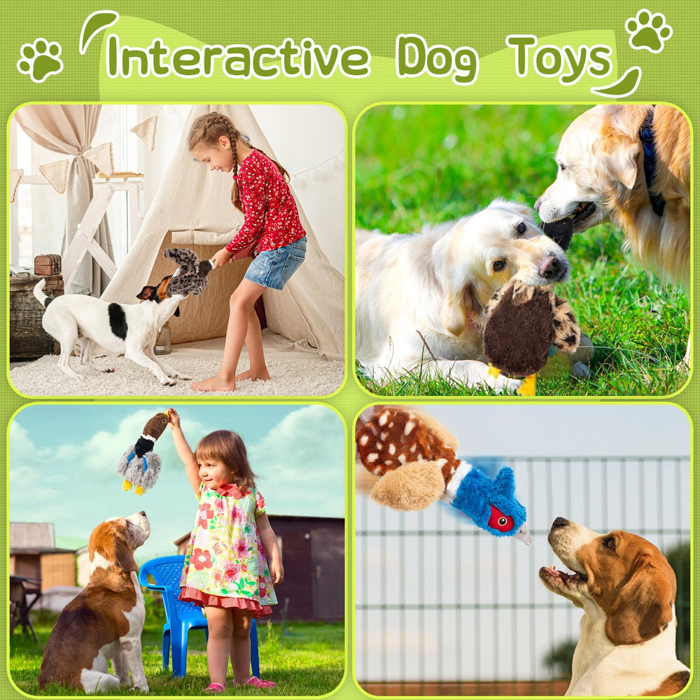 Calibonbon faisán: juguete para perro, alas, crujido para estimulación sensorial.