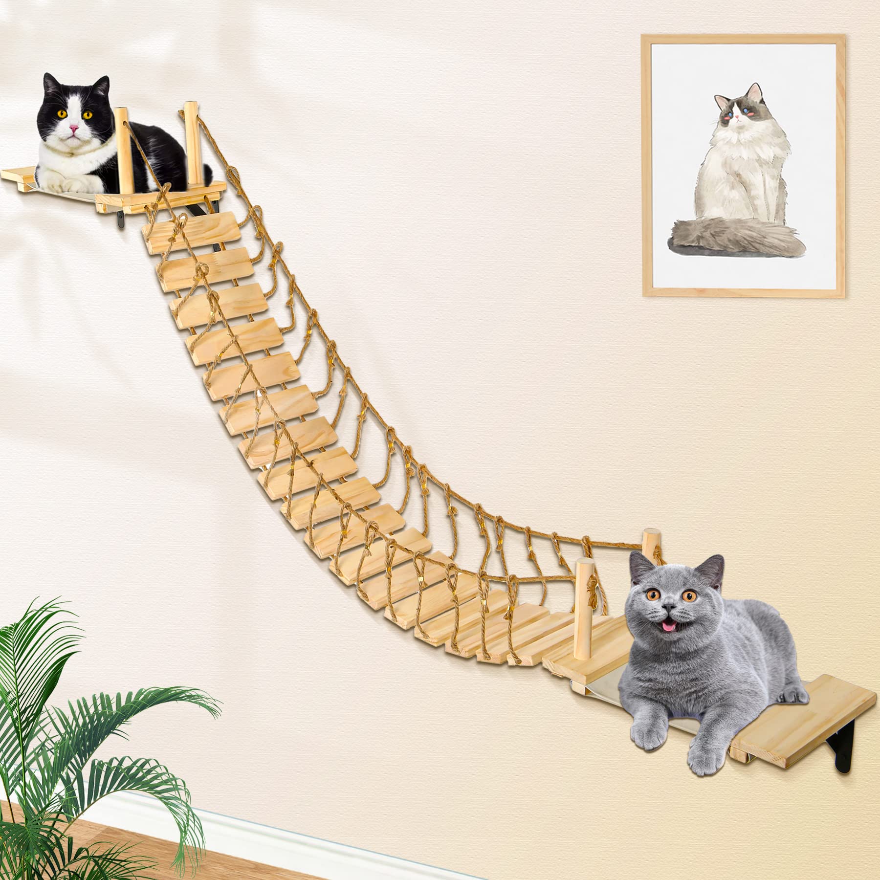 Calmbee puente para gatos de pared de 70 pulgadas, ideal para juego seguro.