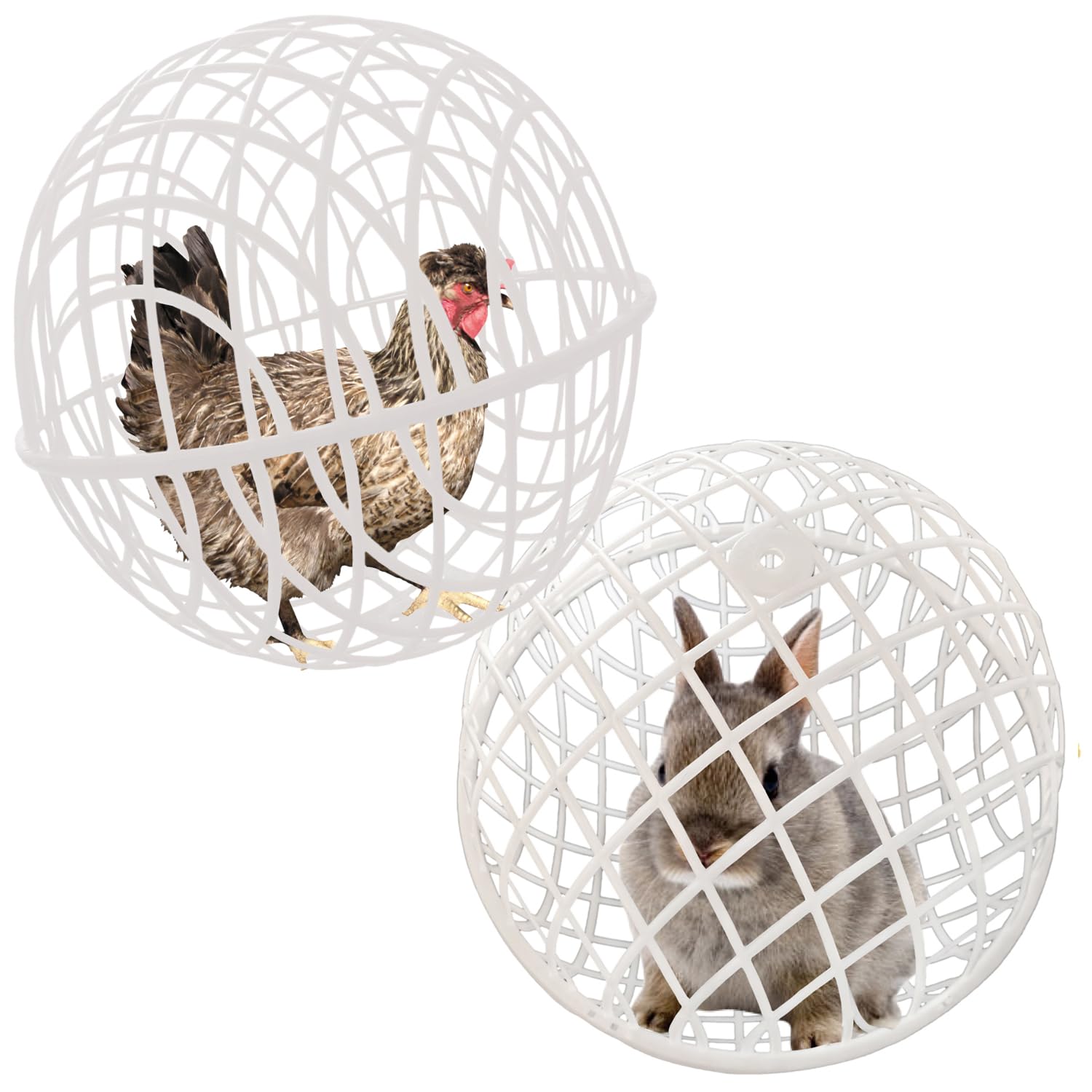CalorMixs jaula esferica movil para aves protege movimiento