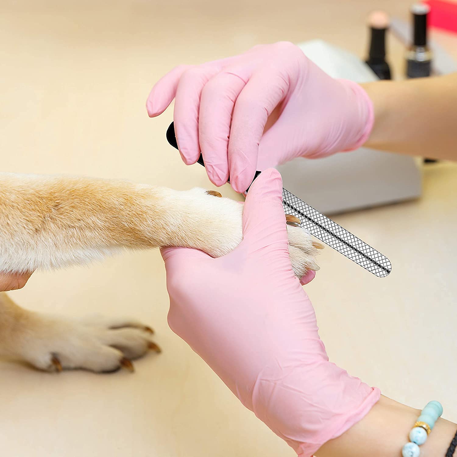 Candure kit de grooming para perros, regalo práctico para dueños