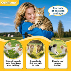 Canfitme Antibitics para gatos: foco respiracion, ayuda posible en el confort diario.