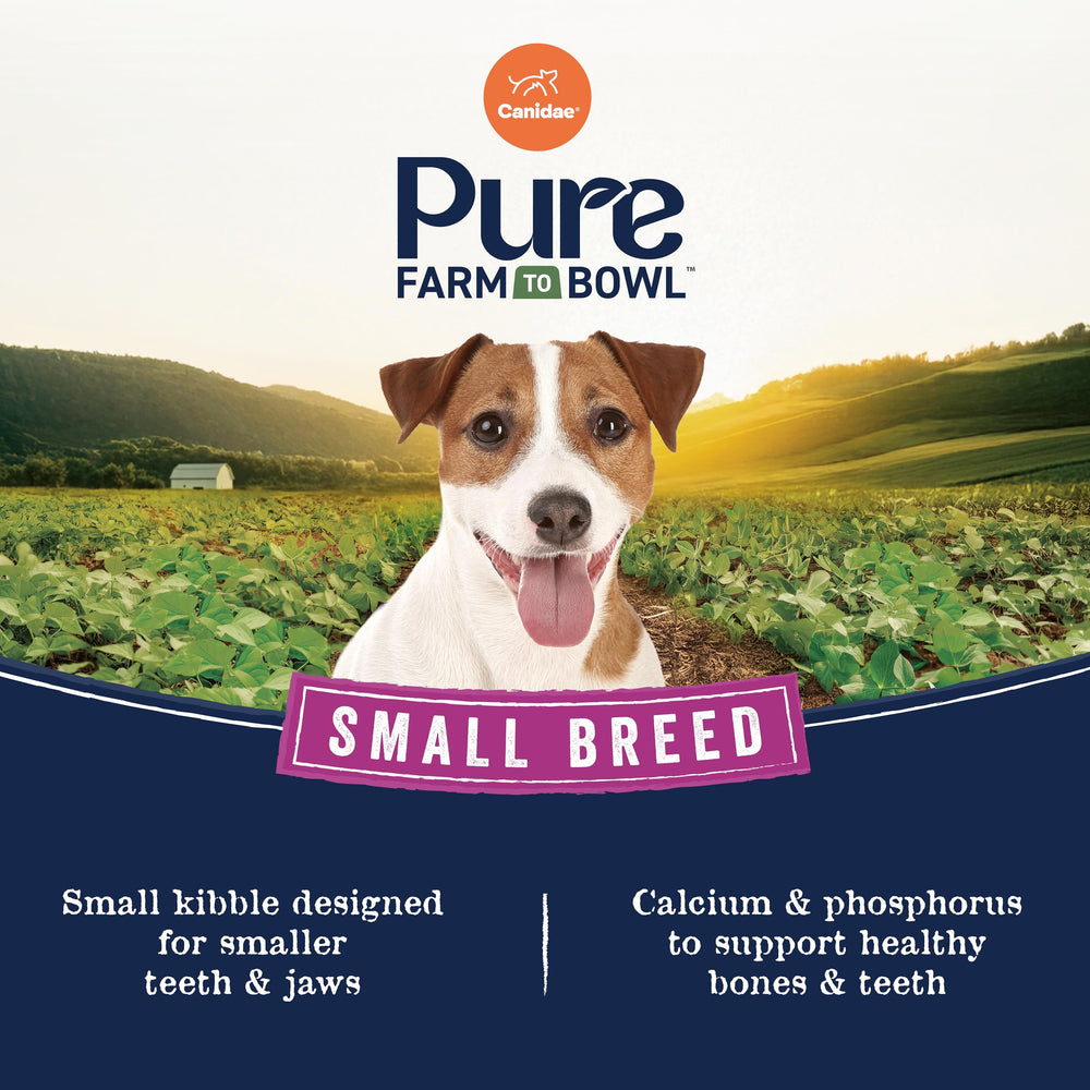CANIDAE fórmula sin maíz, trigo ni soya, opción limpia