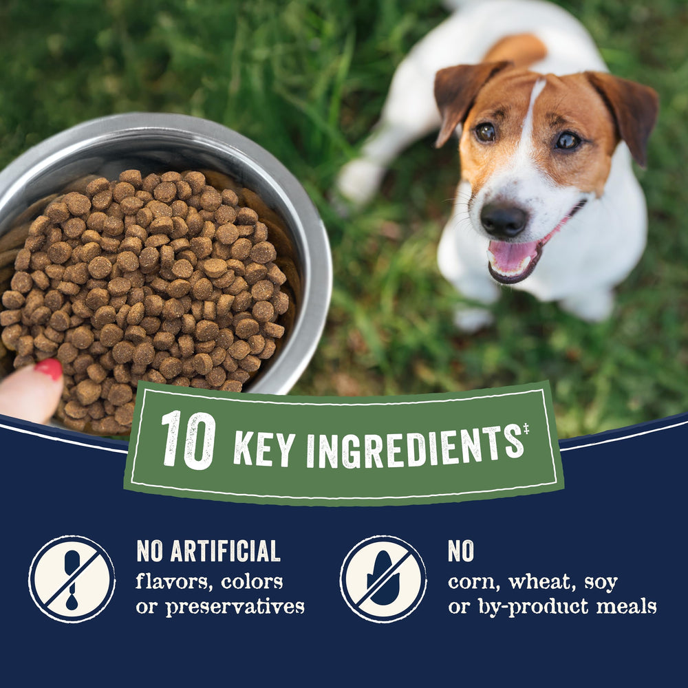 CANIDAE Pure, diez ingredientes o menos para una dieta simple.
