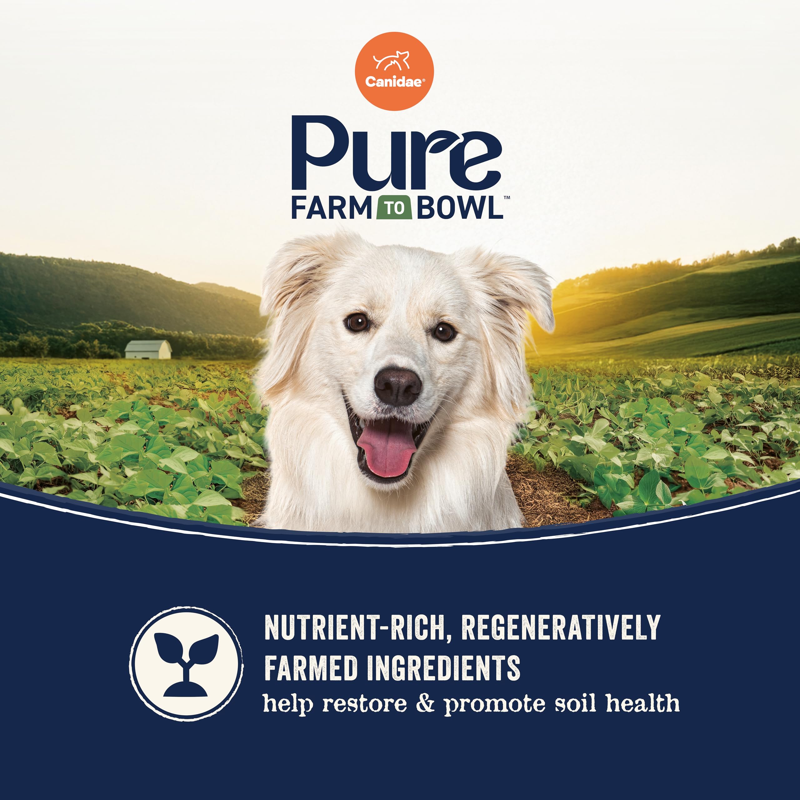 Canidae Pure Farm sin maíz trigo soja, opción libre de granos.