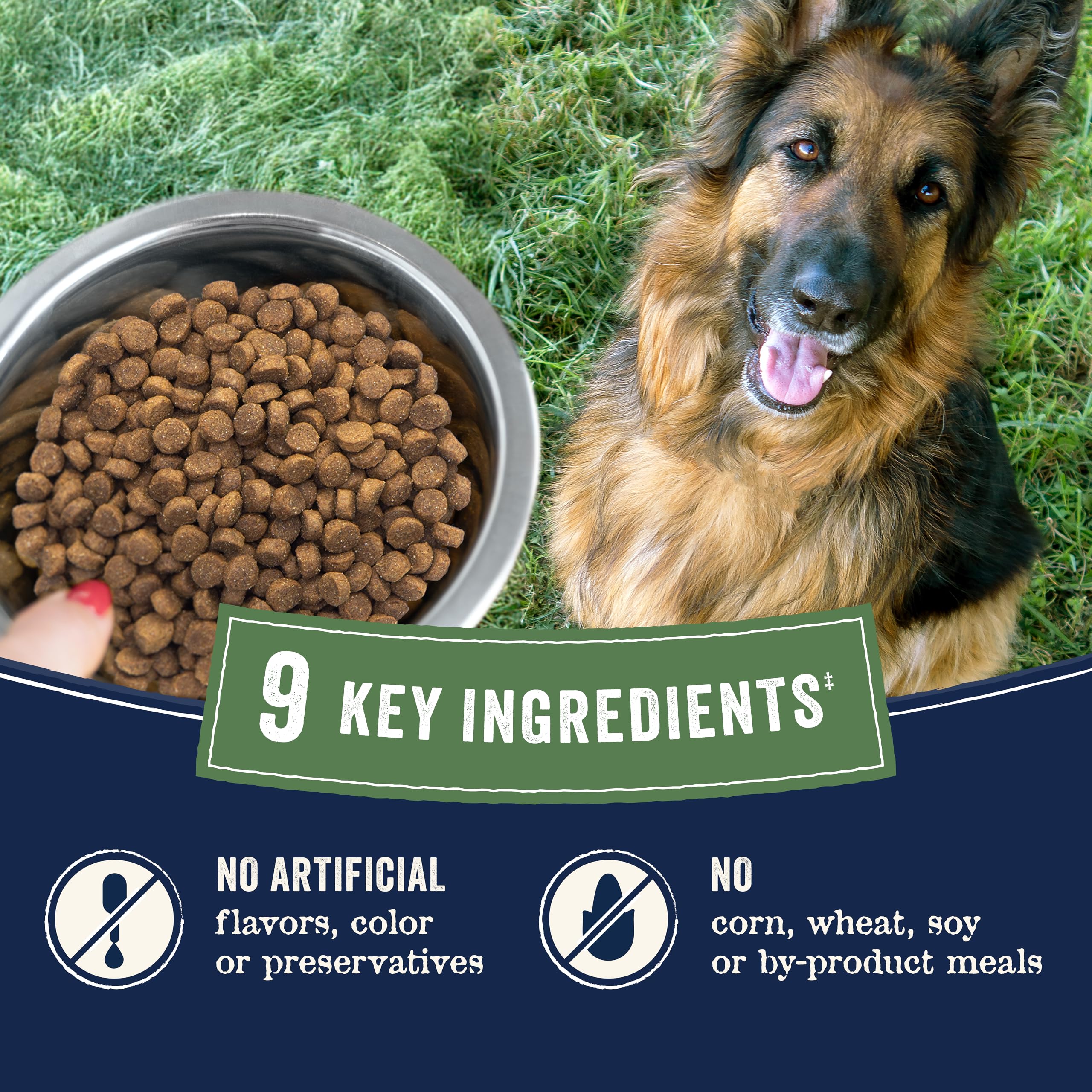 CANIDAE Pure Farm to Bowl pruebas de pureza y nutrientes consistentes en cada lote.