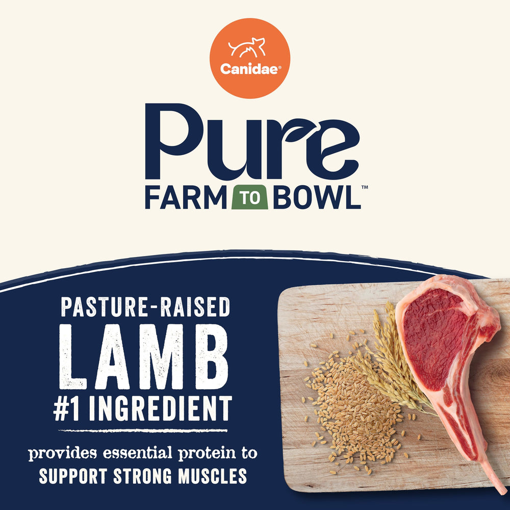 Canidae sin sabores artificiales ingredientes naturales de calidad
