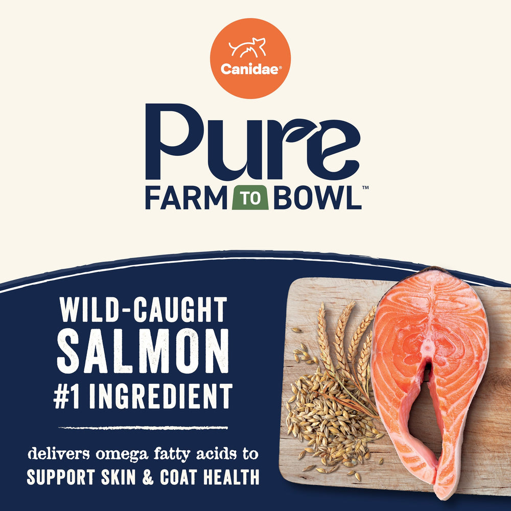 CANIDAE Pure fórmula con 10 ingredientes, sin granos innecesarios