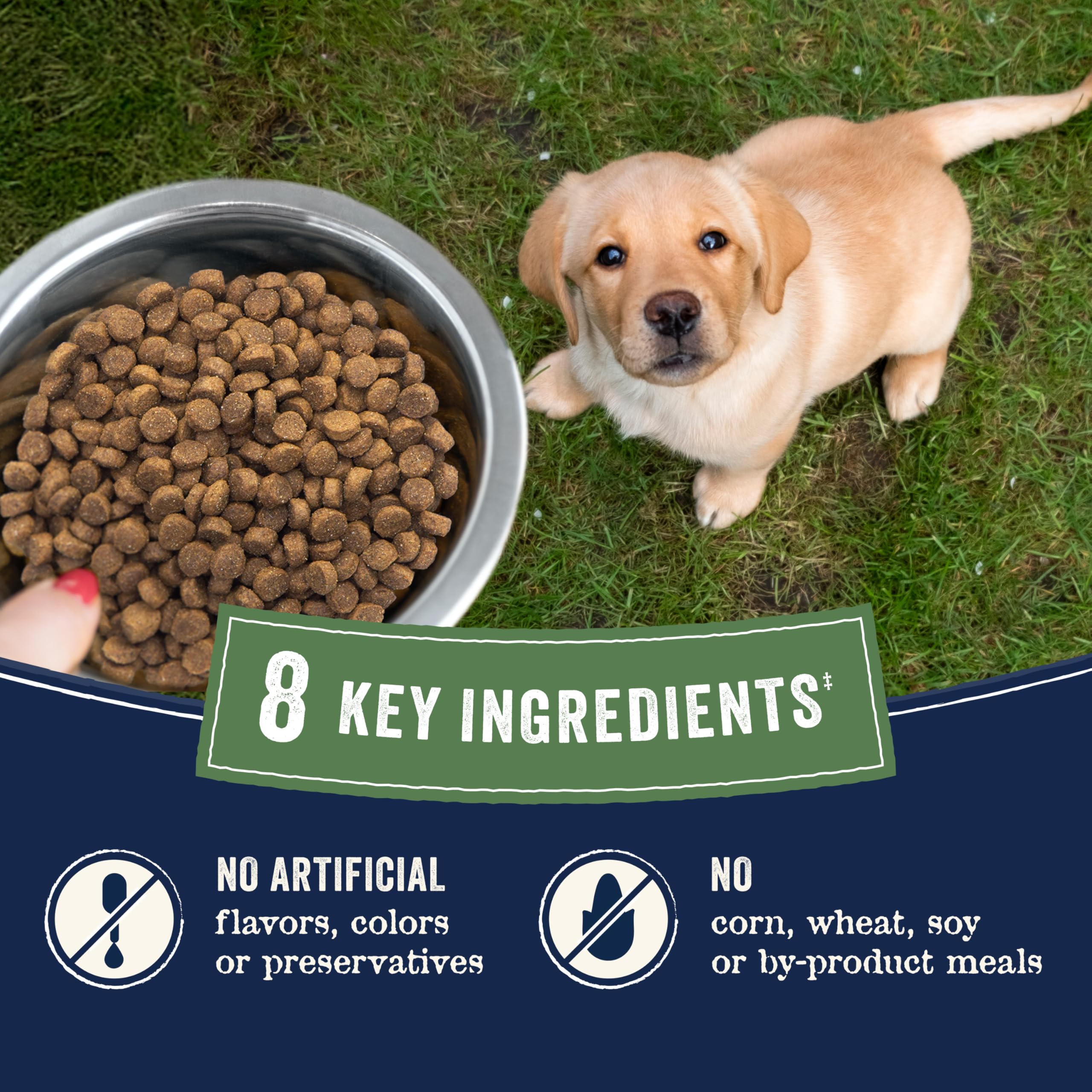 CANIDAE Pure de Granja cocinado en lotes pequeños para consistentemente.